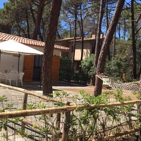 Maremmare Tuscany * 普林希匹纳马尔