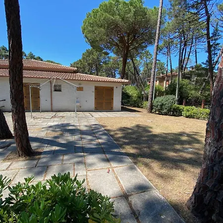 Maremmare Tuscany 普林希匹纳马尔